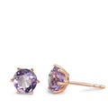 590849 main