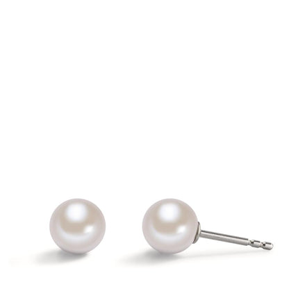 595287 main