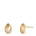 607331 main